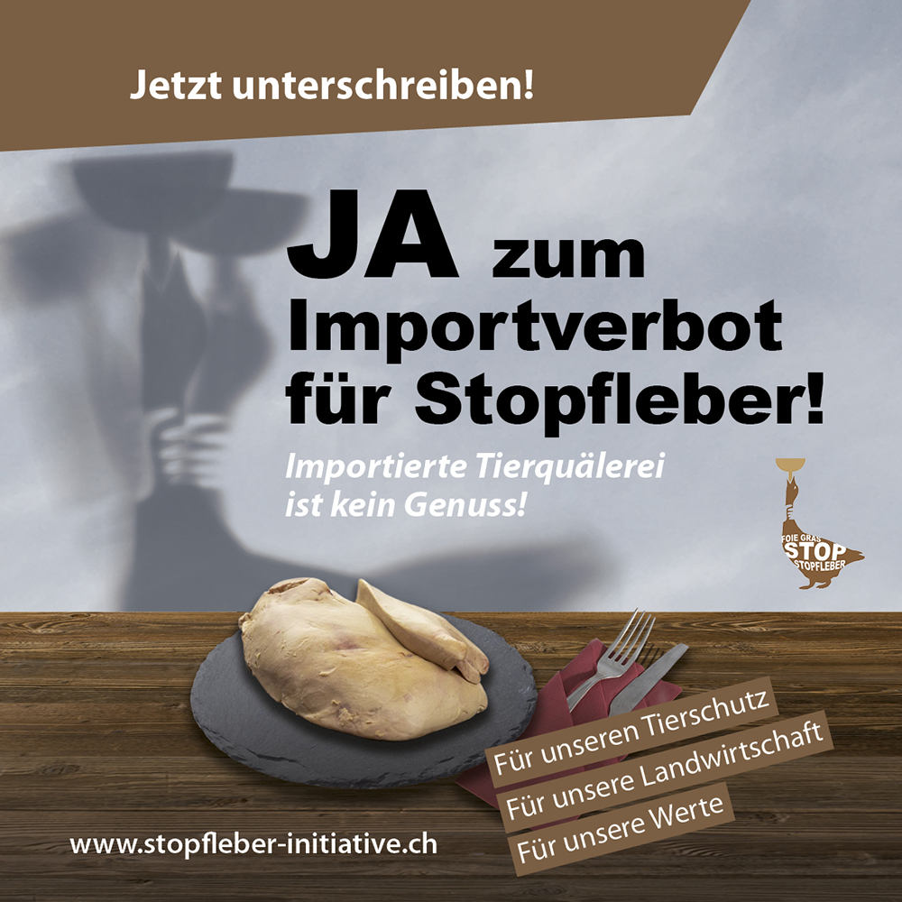 2022-06-28-stopfleber-initiative-de